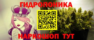 стафф Камень-на-Оби