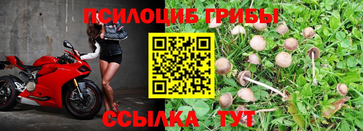 Галлюциногенные грибы Cubensis  Галлюциногенные грибы MAGIC MUSHROOMS  Вход с VPN  Балашиха 